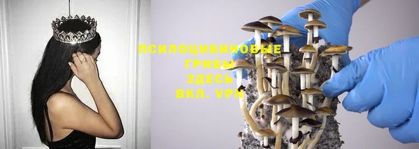 не бодяженный Нефтекумск