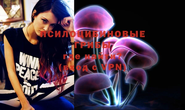 прущая мука Нея